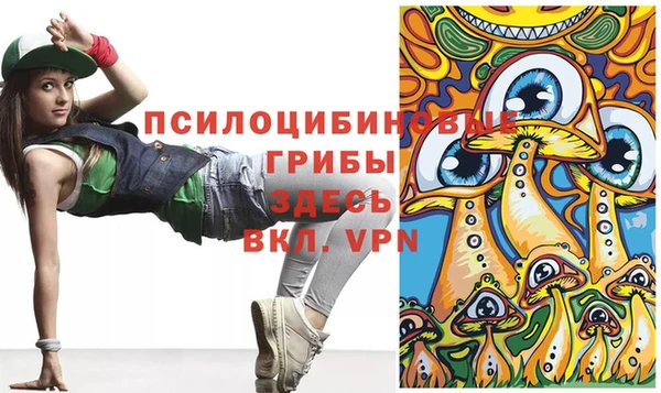 альфа пвп Гусиноозёрск