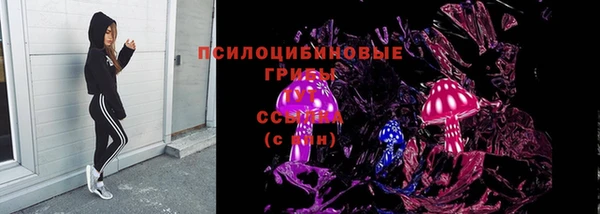 ALPHA PVP Гусев