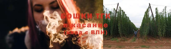 ALPHA PVP Гусев