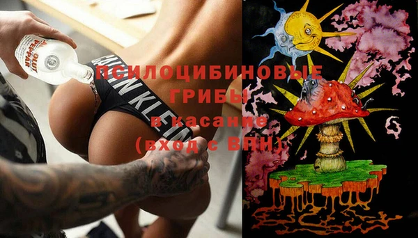 ALPHA PVP Гусев