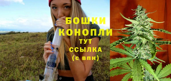 альфа пвп Гусиноозёрск